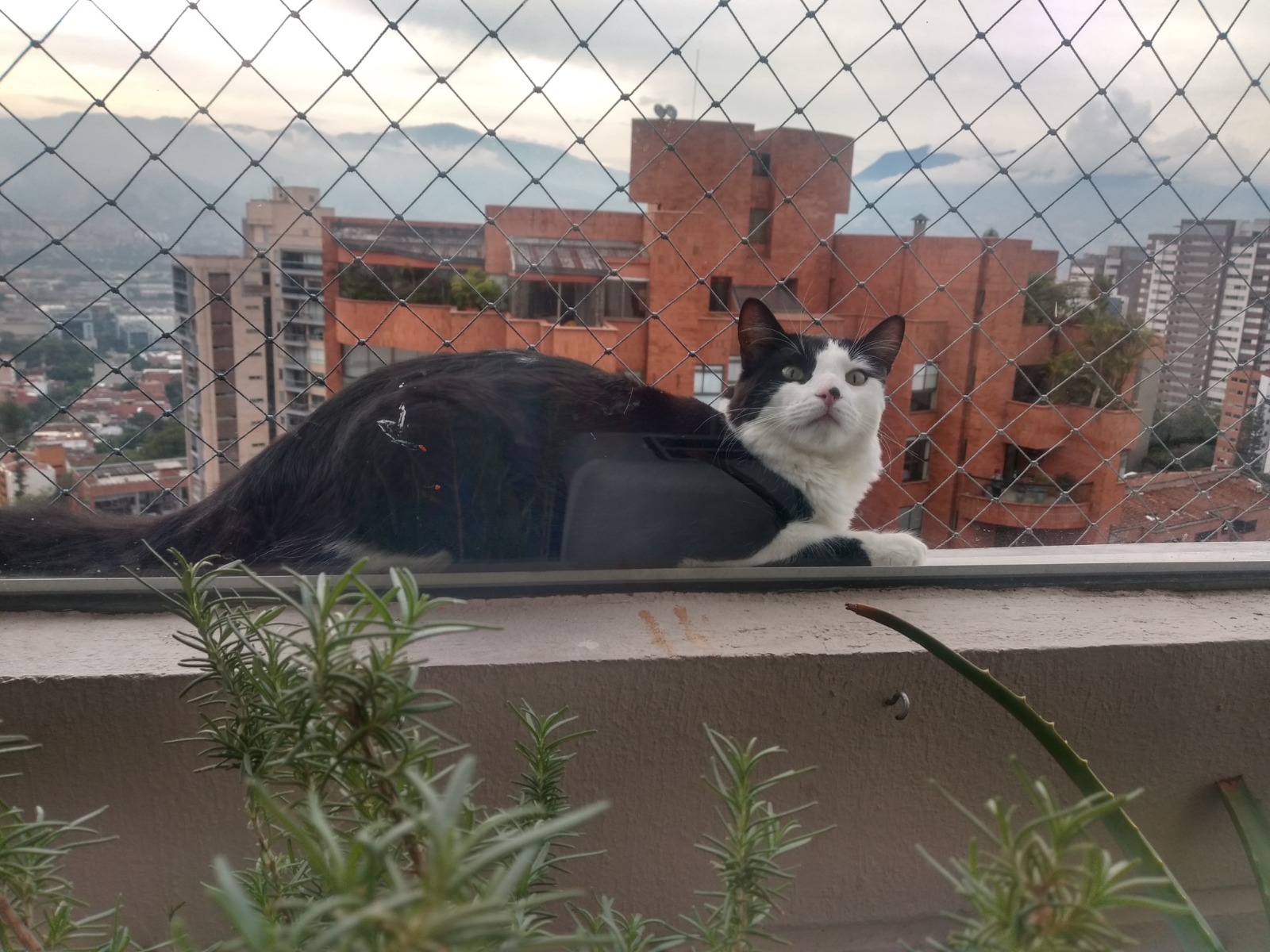 Instalación de malla de seguridad — testimonio de Lucía Hernández